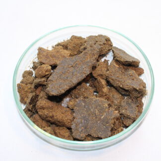 Makuch rzepakowy